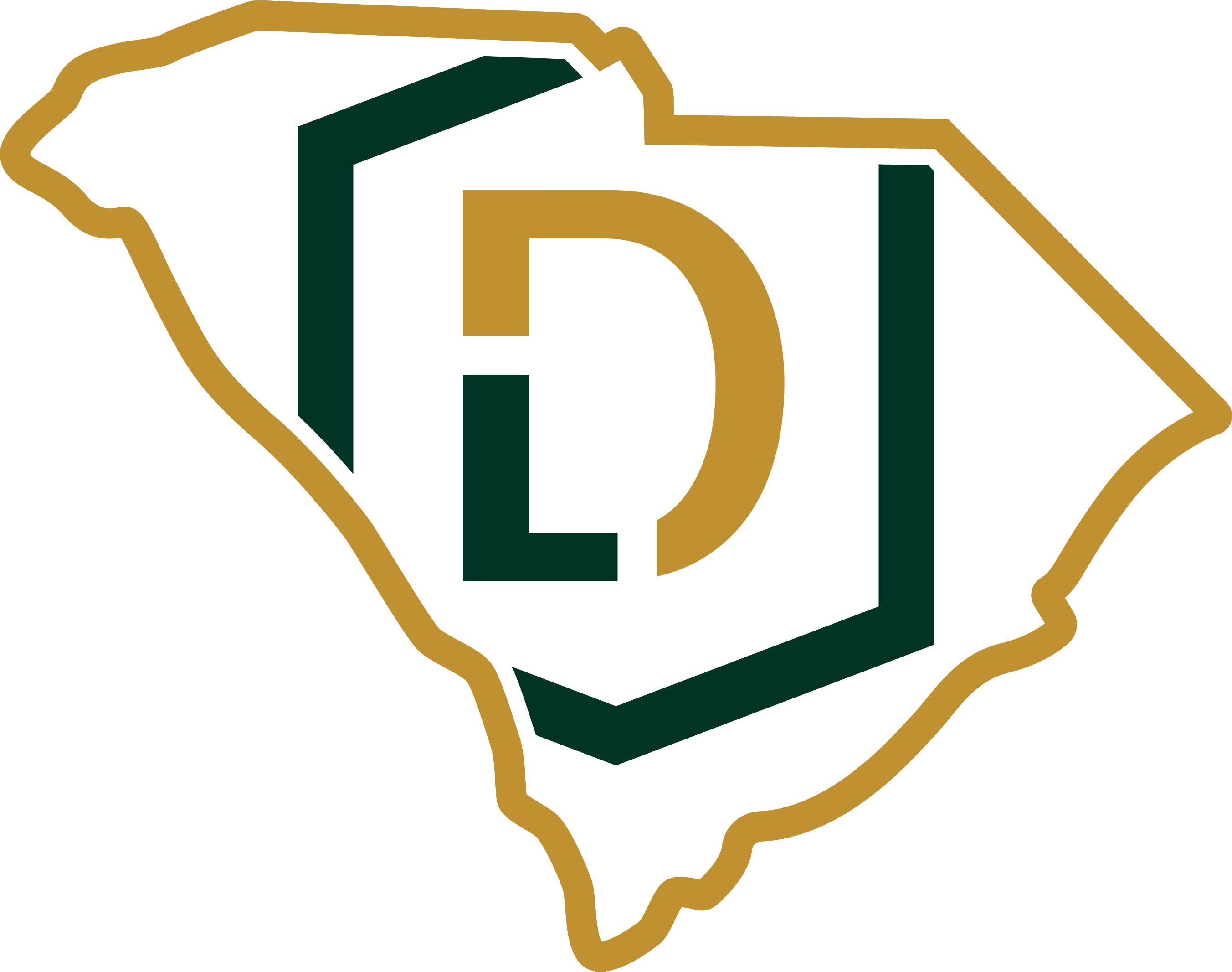Brendan M. Delaney Law Firm, LLC South Carolina Graphic